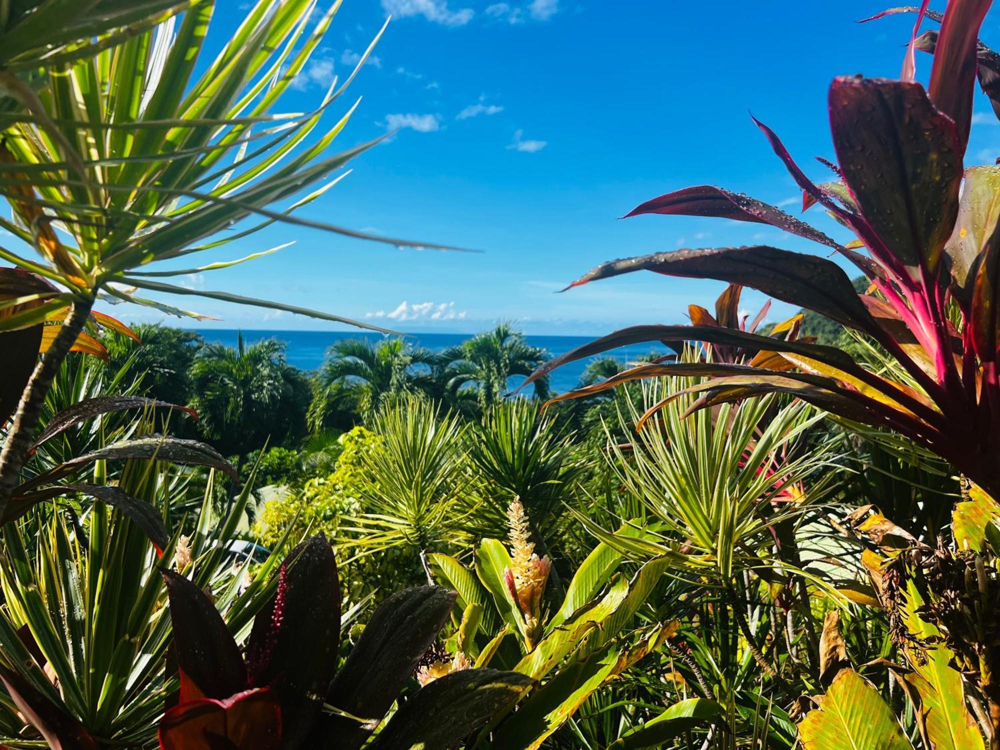 Vue Mer/3Beds/Piscine/Wifi/900 Metres De La Plage Деше Экстерьер фото